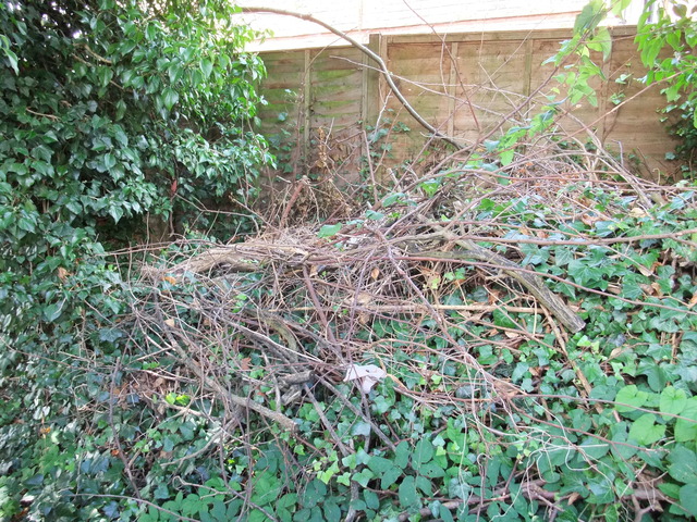 dscf7199.jpg